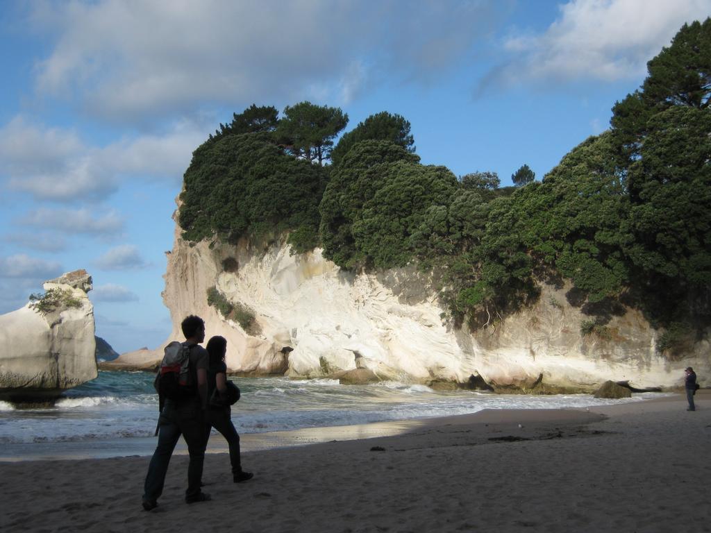 Hahei Beach Escape Bagian luar foto