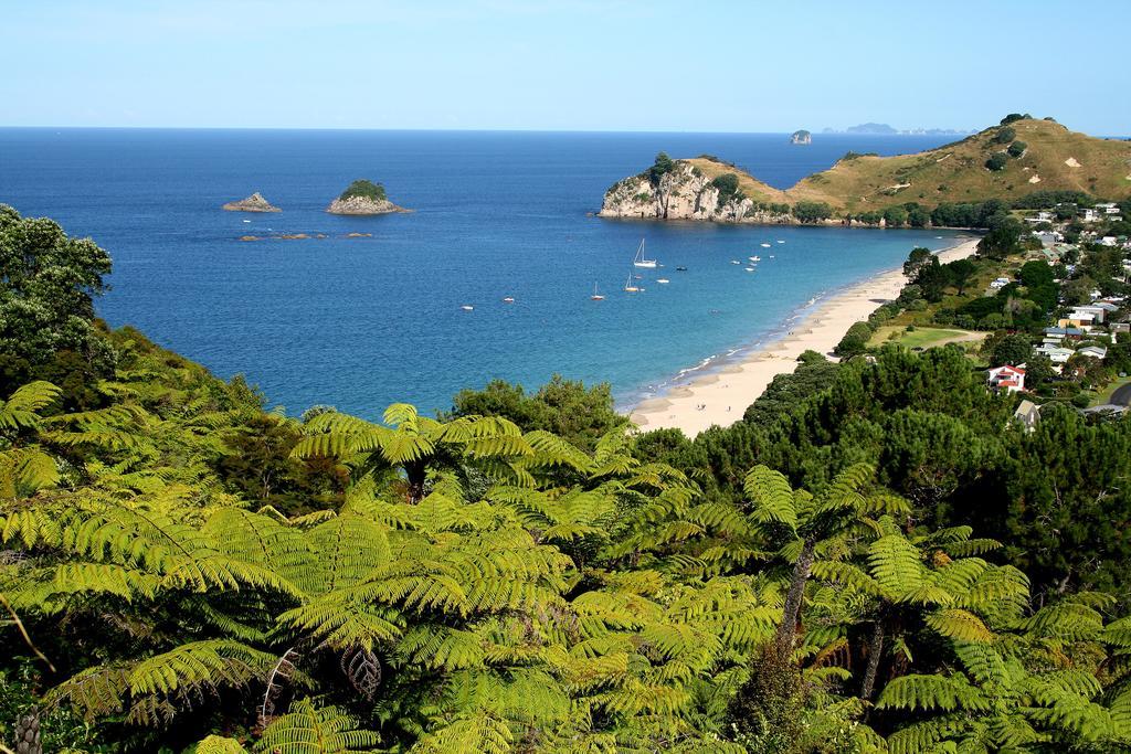 Hahei Beach Escape Bagian luar foto